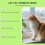 Probiotische Tropfen für Katzen - Darmbalance 13