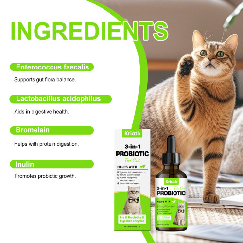 Probiotische Tropfen für Katzen - Darmbalance 1