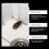 Cockroach Bait for Kitchen Cabinet Corners 10