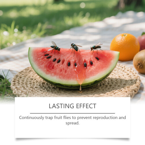 Fruit Fly Bait for Home Use 2