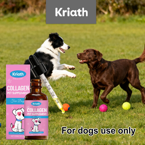 Dog Collagen Joint Comfort Drops 1