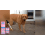 Dog Collagen Joint Comfort Drops 8