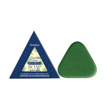 Hoegoa Platycladus Shampoo - Sanft & Geschmeidig