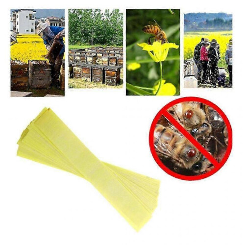 Varroa Strips Fluvalinate Bee Mite Killer Treatment Tools Beekeeping Pest 1