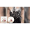 Onion Biotin Shampoo Soap, Volumizing & Softening, Moisturizing 7