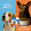 Dog Joint Care Tablets for Daily Joint Comfort 2