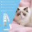 Katzen- und Hundelidschleimfleckenentferner-Stift 12