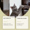 Katzen-Kratzschutzspray für Möbel 12