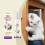 Katzen-Kratzschutzspray für Möbel 9