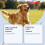 Dog Probiotic Soft Granules Support Intestinal Balance Easy Absorption 16
