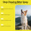Dog Anti-Bite Bitter Spray for Training 4