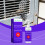 Spider Protective Spray for Indoor & Household Use 2