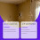 Spider Protective Spray for Indoor & Household Use 3