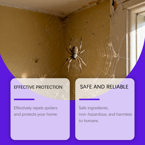Spider Protective Spray for Indoor & Household Use 2