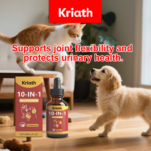 Tägliches Multivitamin-Flüssigfutter für Hunde 1