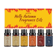 Autumn Essential Oil Set for Cozy Home