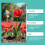 Plant Nutrient, Hydroponic Fertilizer for Potted & Ground Use 11