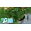 Plant Nutrient, Hydroponic Fertilizer for Potted & Ground Use 7