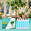 Plant Nutrient, Hydroponic Fertilizer for Potted & Ground Use 2