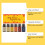 Autumn Essential Oil Set for Cozy Home 10