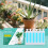 Plant Nutrient, Hydroponic Fertilizer for Potted & Ground Use 9