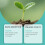 Plant Nutrient, Hydroponic Fertilizer for Potted & Ground Use 4