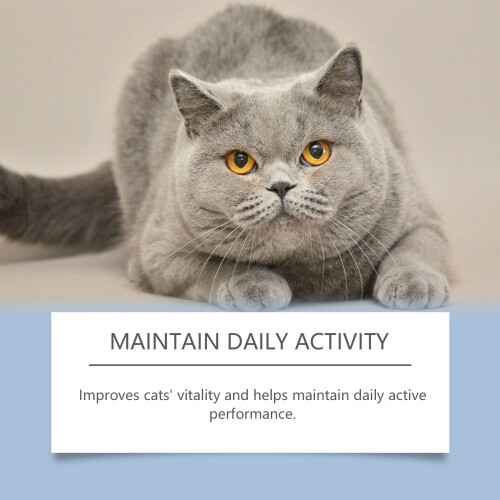 Mild Cat Vitamin Drops for Daily Care 2