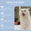 Mild Cat Vitamin Drops for Daily Care 9