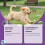 Dog Care Spray: Gentle, Refreshing for Pets 4