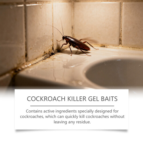 Cockroach Bait for Indoor Kitchen & Living Room 2