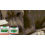 Dog Joint Care Soft Granules for Daily Joint Support 8