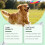Dog Joint Care Soft Granules for Daily Joint Support 14