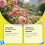 Bee Luring Spray for Farming & Horticulture 3