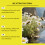 Bee Luring Spray for Farming & Horticulture 9