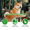 Nutritious Dog Care Drops 11