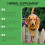 Nutritious Dog Care Drops 13