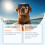Hundesnase-Creme, UV-Schutz, Sheabutter, Vitamin E 3