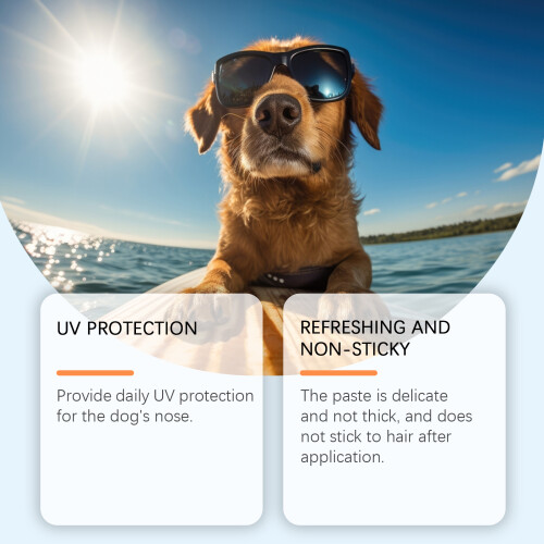 Hundesnase-Creme, UV-Schutz, Sheabutter, Vitamin E 2