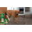 Dog Collagen Support Drops Easily Absorbable 8