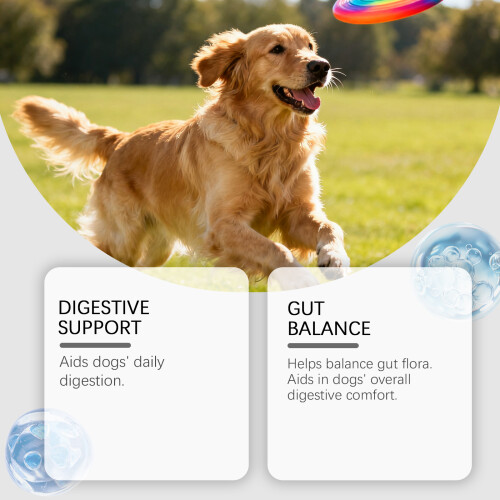 Probiotische Hundefuttergranulat: Darmbalance & Vitalität 2