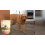 Probiotische Hundefuttergranulat: Darmbalance & Vitalität 8