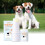 Hundesnase-Creme, UV-Schutz, Sheabutter, Vitamin E 9