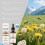 Portable Bee Attractant for Farm & Garden 12