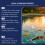 Wasserklärer Pulver für Aquarien 9