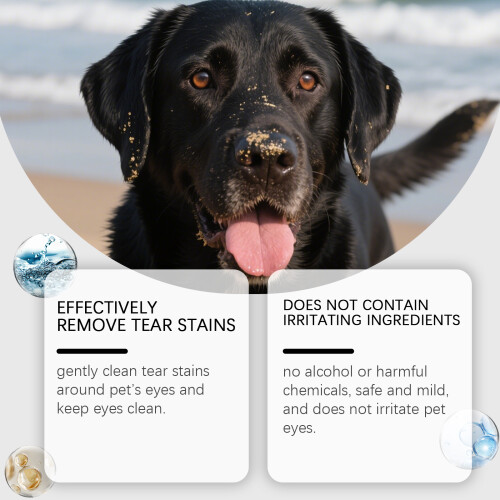 Augenpflegewipes für Katzen & Hunde 2