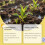 MoonSpry Universal Plant Root Nutrient Solution 4