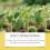 MoonSpry Universal Plant Root Nutrient Solution 3