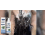 Feuchtigkeitsspendendes Shampoo 7