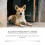 Pet Vitamin Chewables with Mild Ingredients 13