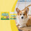 Pet Deodorizing Gel for Cat Litter Box Odor Control 2